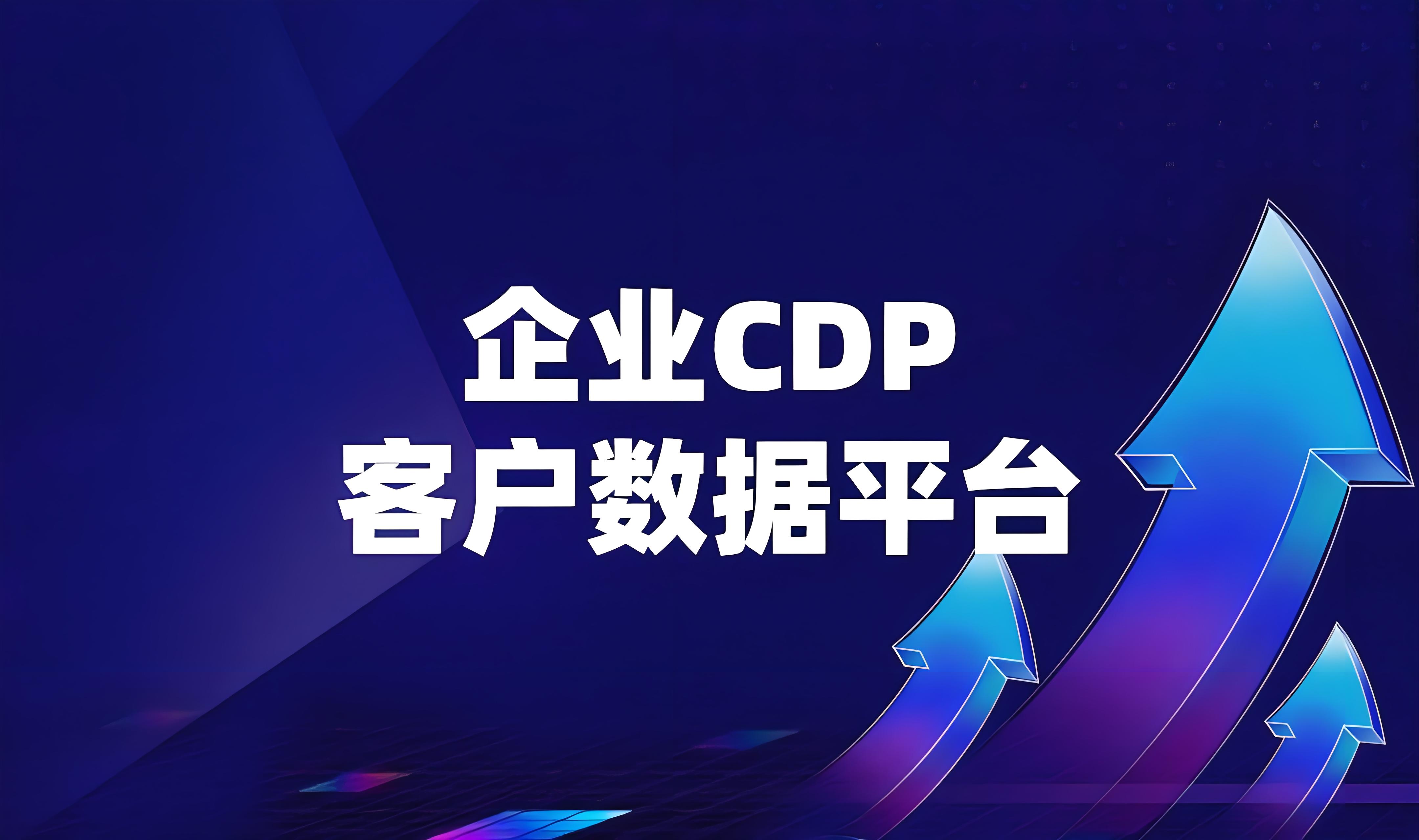 国内有哪些cdp平台？